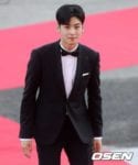 cha eun woo korea drama awards 2018 red carpet (26)