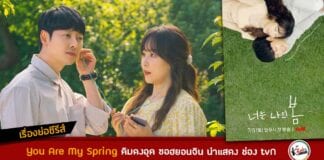 [เรื่องย่อซีรีส์] You Are My Spring คิมดงอุค ซอฮยอนจิน นำแสดง ช่อง tvN