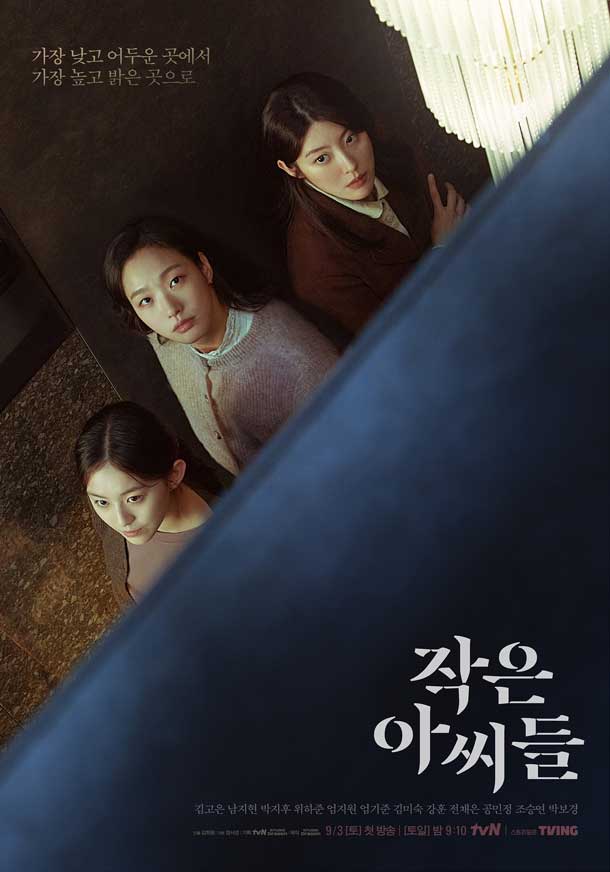 โปสเตอร์ Little Women