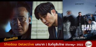 เรื่องย่อ Shadow Detective