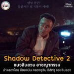 12-Shadow-Detective-2