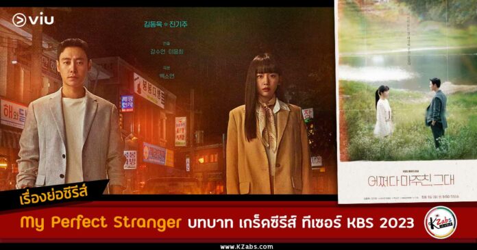 เรื่องย่อ My Perfect Stranger