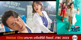 เรื่องย่อ Doctor Cha