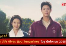 เรื่องย่อ When Life Gives You Tangerines