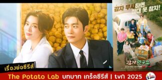 เรื่องย่อ The Potato Lab