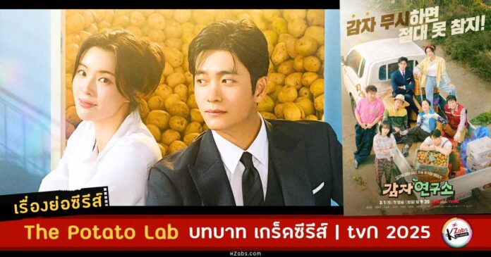 เรื่องย่อ The Potato Lab